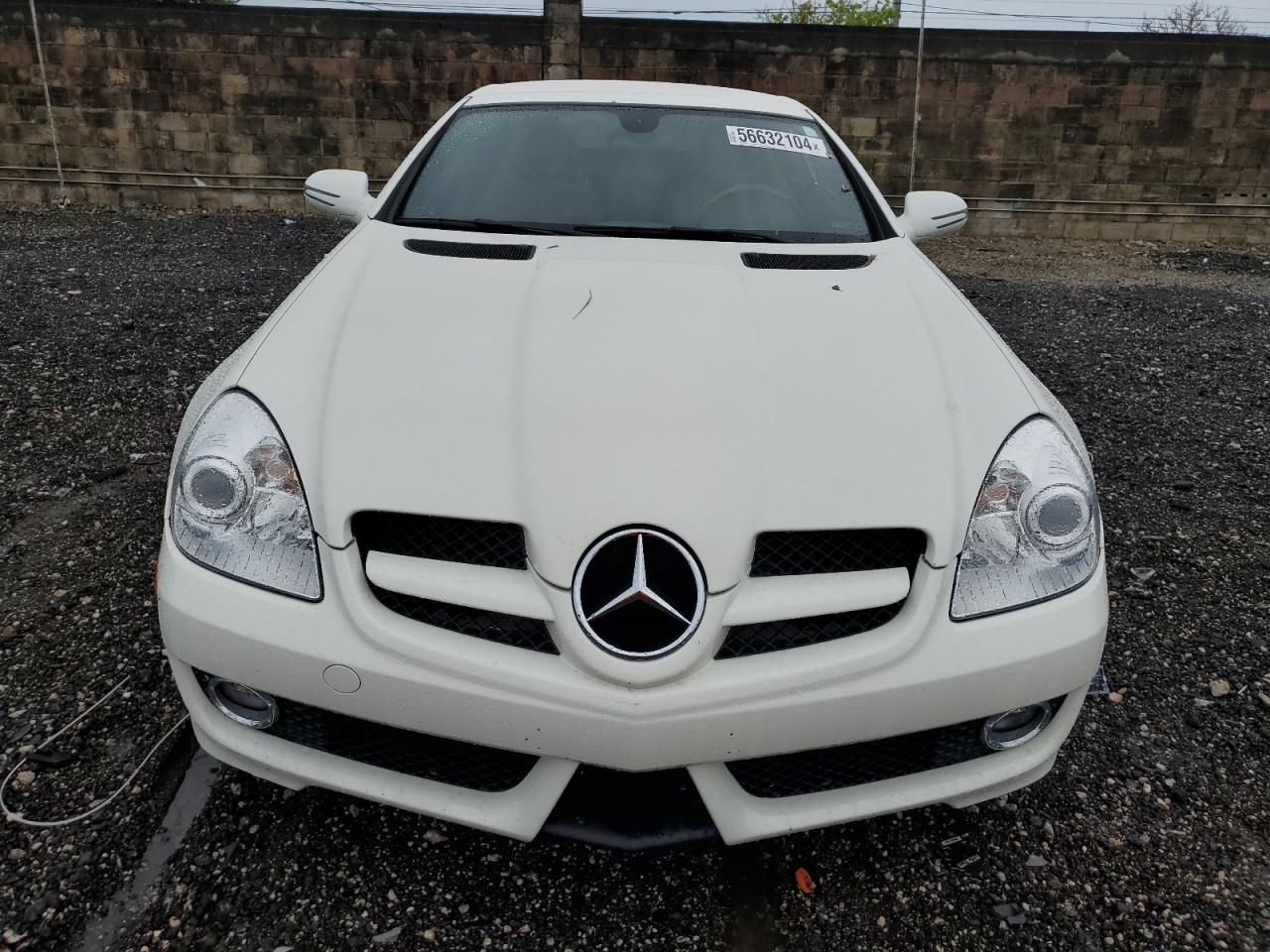 WDBWK5EAXAF228362 2010 Mercedes-Benz Slk 300