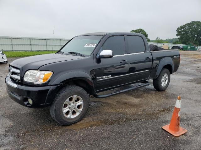 2005 Toyota Tundra Double Cab Sr5 VIN: 5TBET34165S496906 Lot: 60057934