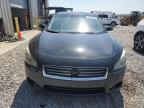 NISSAN MAXIMA S photo