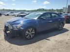 2017 NISSAN MAXIMA 3.5 - 1N4AA6APXHC382490