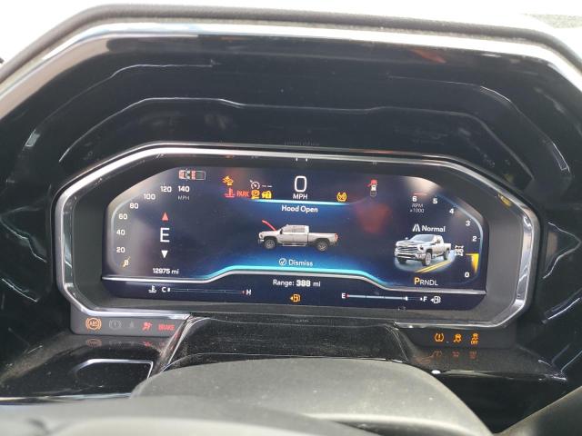 2024 CHEVROLET SILVERADO - 1GC4YNE79RF104994