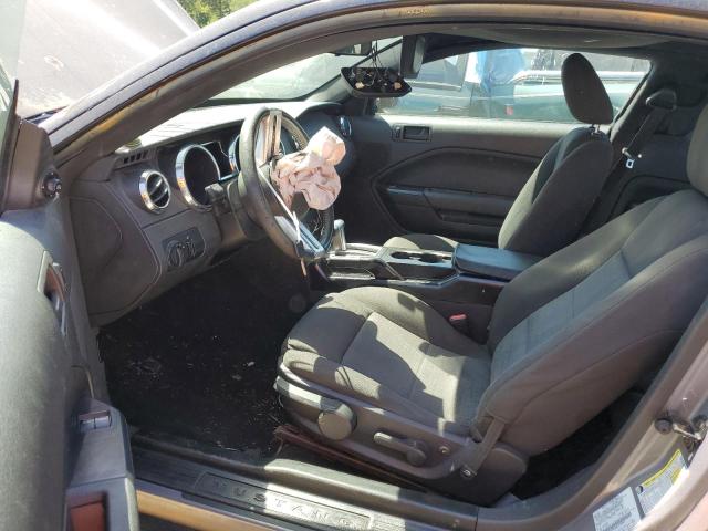 2006 Ford Mustang VIN: 1ZVFT80N265126994 Lot: 59107294