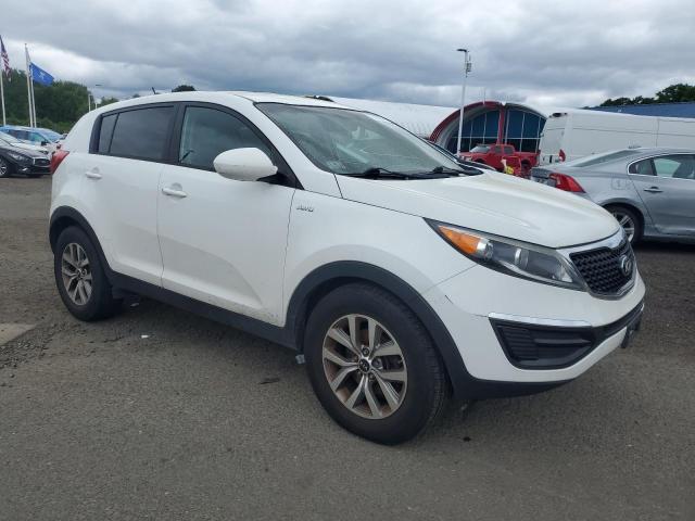 2014 Kia Sportage Lx VIN: KNDPBCAC8E7559622 Lot: 57483224