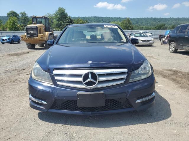 2013 Mercedes-Benz C 300 4Matic VIN: WDDGF8ABXDA843995 Lot: 59115154