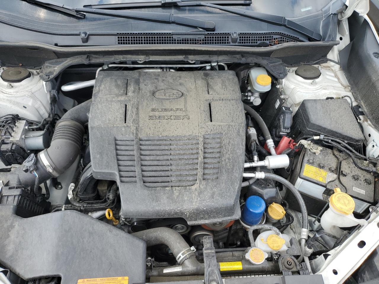 JF2SKACC7KH567956 2019 Subaru Forester