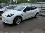 2023 TESLA MODEL Y - 7SAYGDEE7PF759687