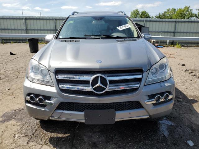 2010 Mercedes-Benz Gl 350 Bluetec VIN: 4JGBF2FE3AA563119 Lot: 58519954