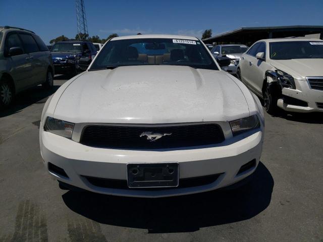 2010 Ford Mustang VIN: 1ZVBP8AN4A5107809 Lot: 61251514