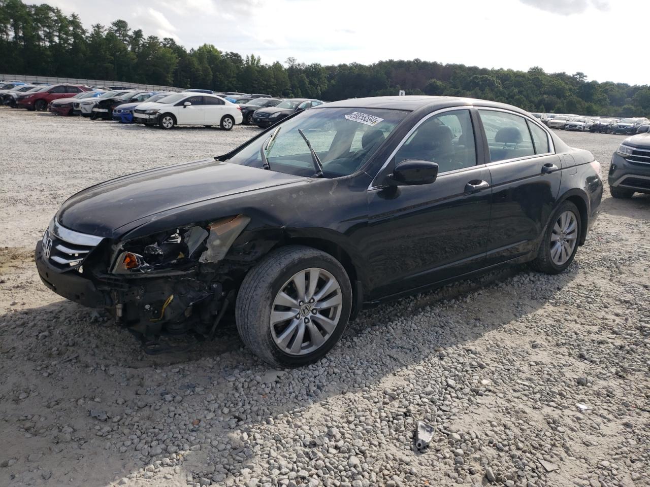 1HGCP2F81BA085401 2011 Honda Accord Exl