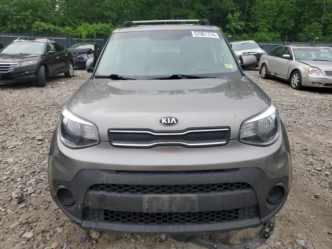 Lot #2808882271 2019 KIA SOUL