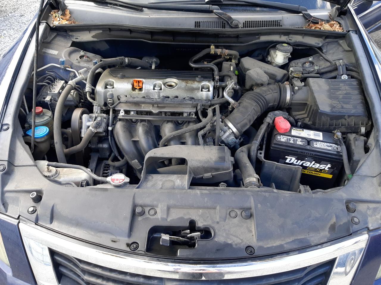 1HGCP26439A179156 2009 Honda Accord Lxp