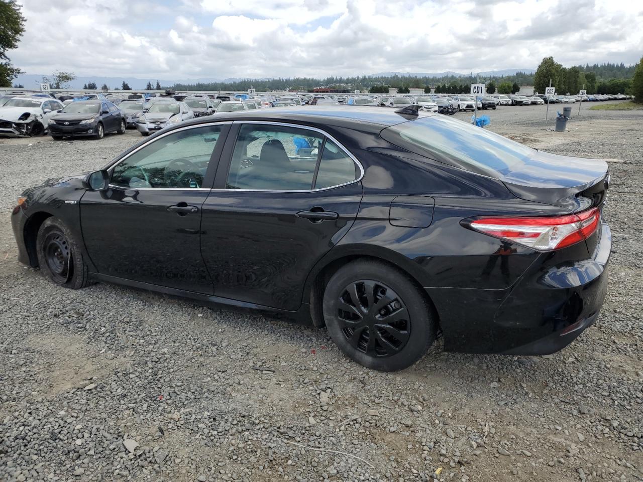 2020 Toyota Camry Le vin: 4T1C31AK6LU535045