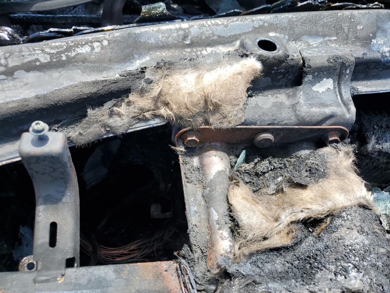 WDBRF61J93F434000 2003 Mercedes-Benz C 240