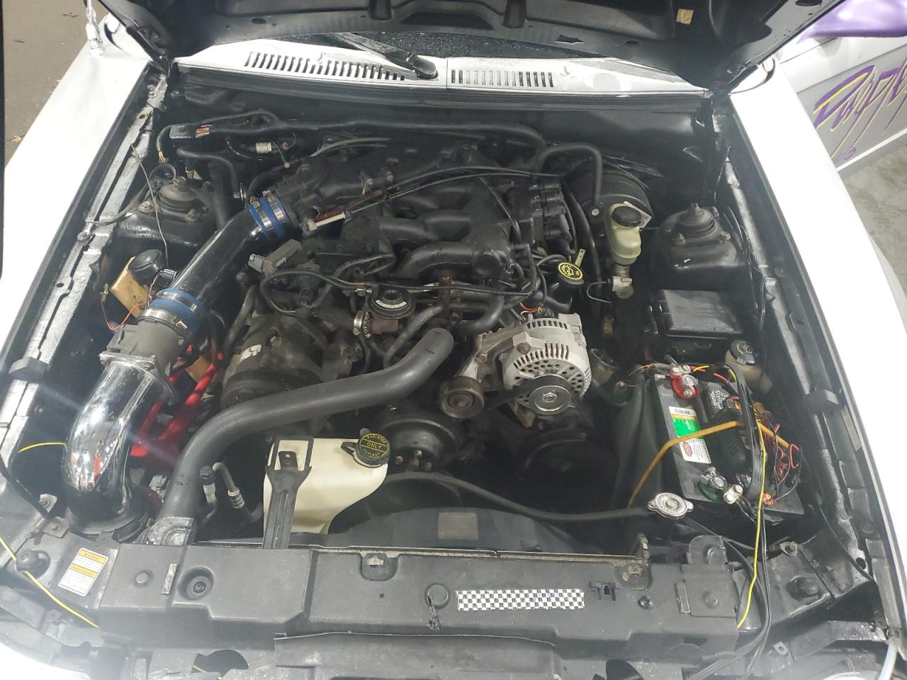 1FAFP404XYF219904 2000 Ford Mustang