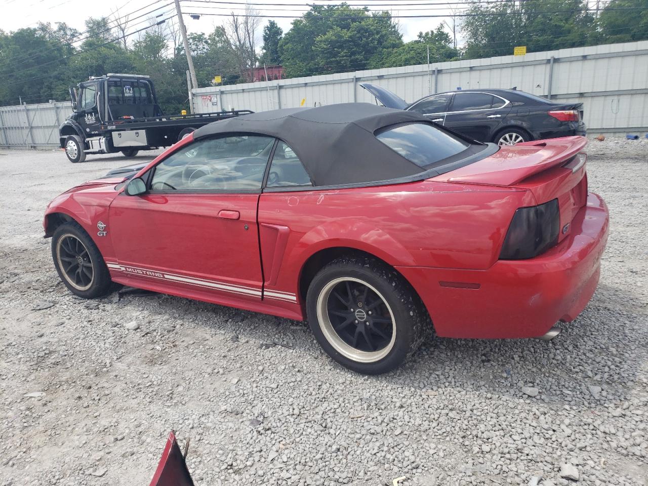 Lot #2771476329 1999 FORD MUSTANG GT