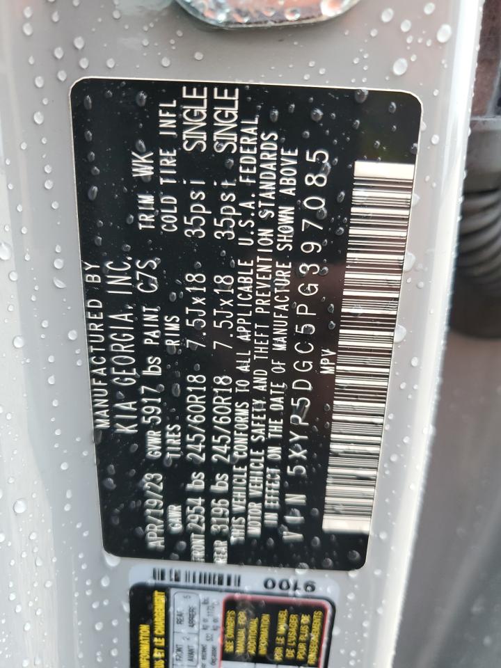 5XYP5DGC5PG397085 2023 Kia Telluride Sx