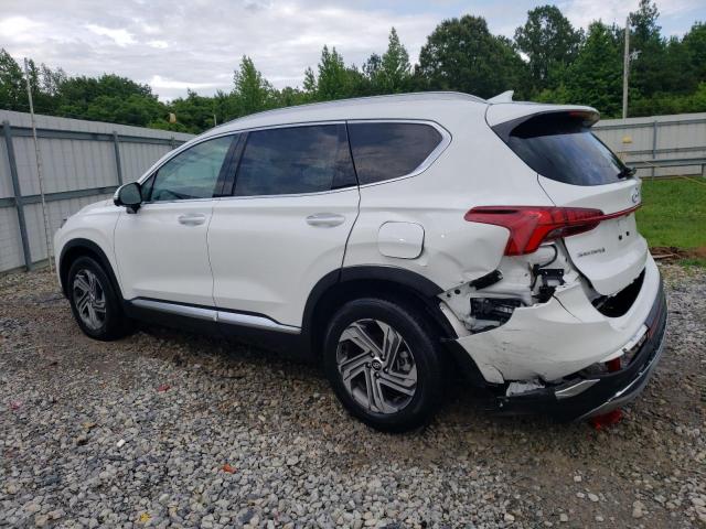 2023 Hyundai Santa Fe Sel Premium VIN: 5NMS34AJ7PH599827 Lot: 57418694