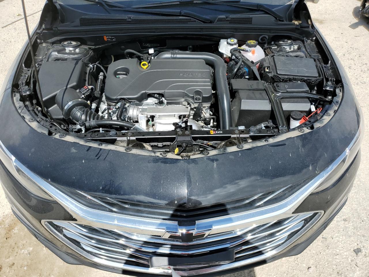 1G1ZG5ST1RF202419 2024 Chevrolet Malibu Rs