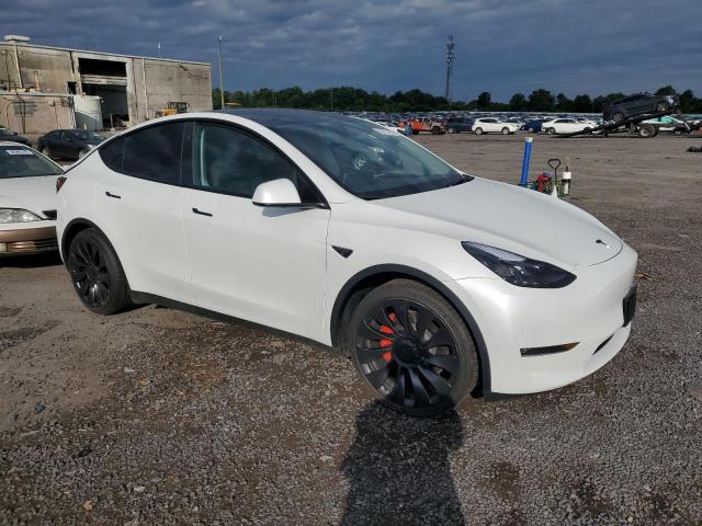 2023 TESLA MODEL Y - 7SAYGDEF4PF843412