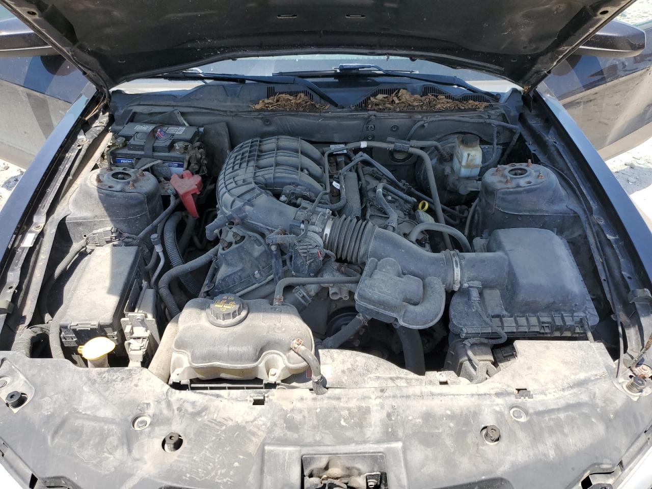 1ZVBP8AM4C5217558 2012 Ford Mustang