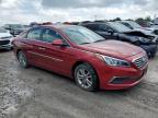 HYUNDAI SONATA SE photo