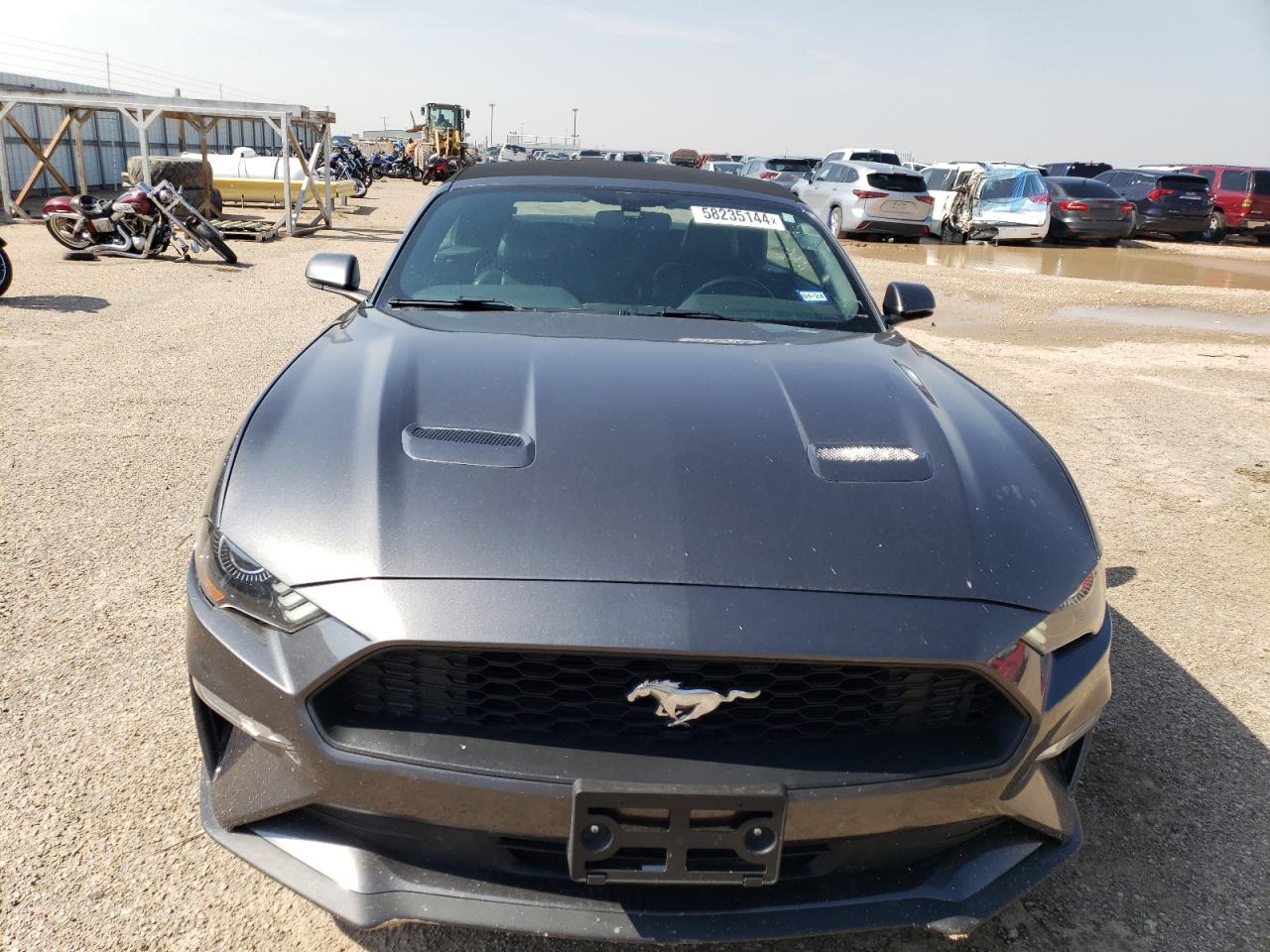 2019 Ford Mustang vin: 1FATP8UH6K5170284