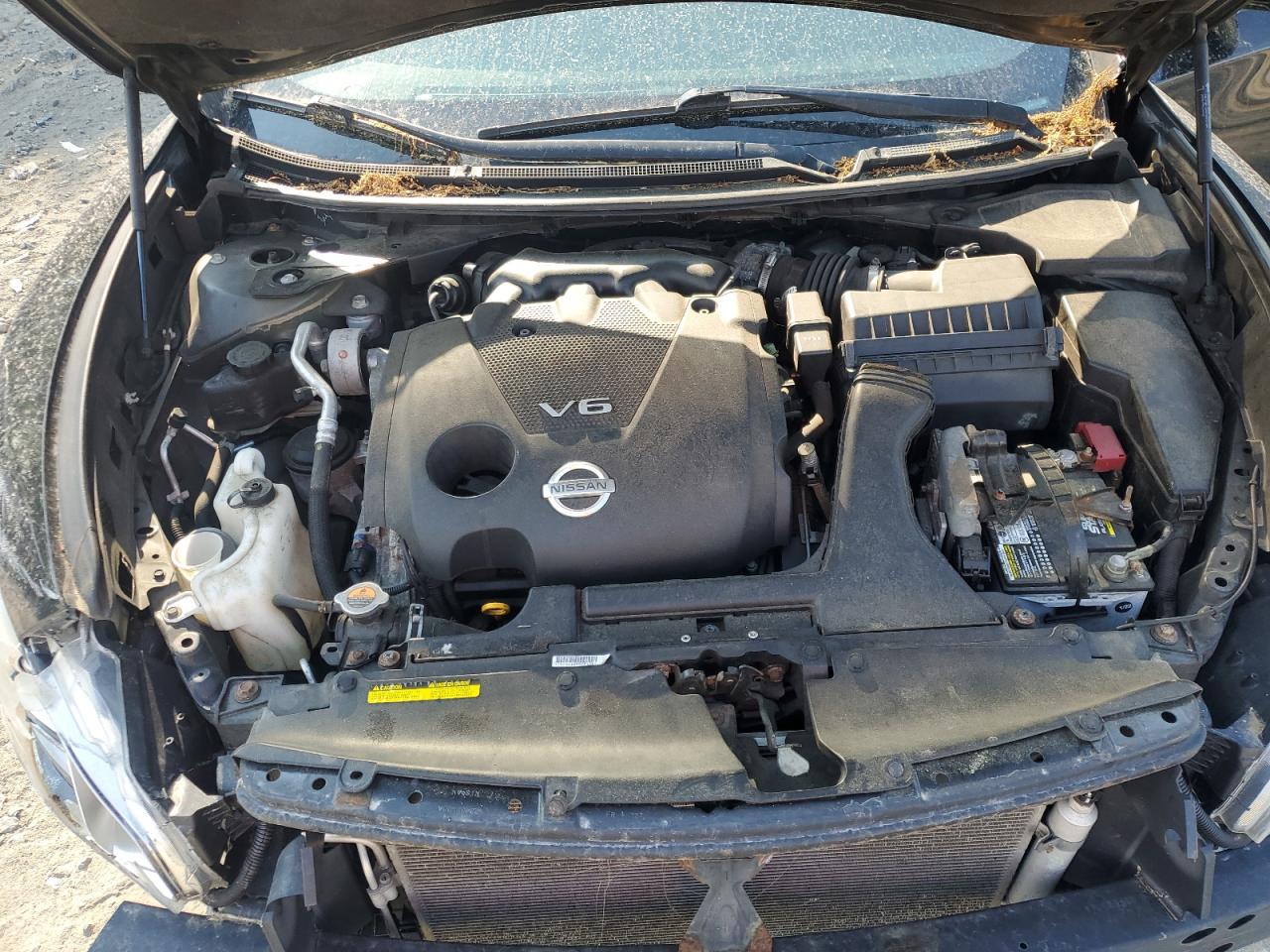 1N4AA5AP2AC872616 2010 Nissan Maxima S