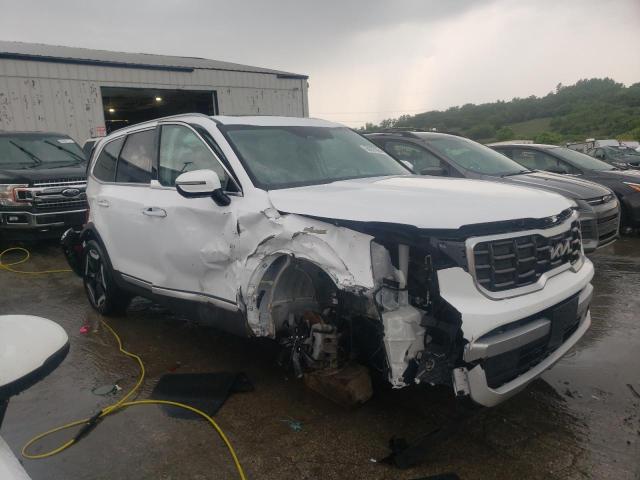 2023 Kia Telluride S VIN: 5XYP6DGC4PG387774 Lot: 58067994