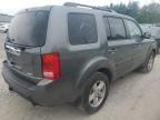 HONDA PILOT EX photo