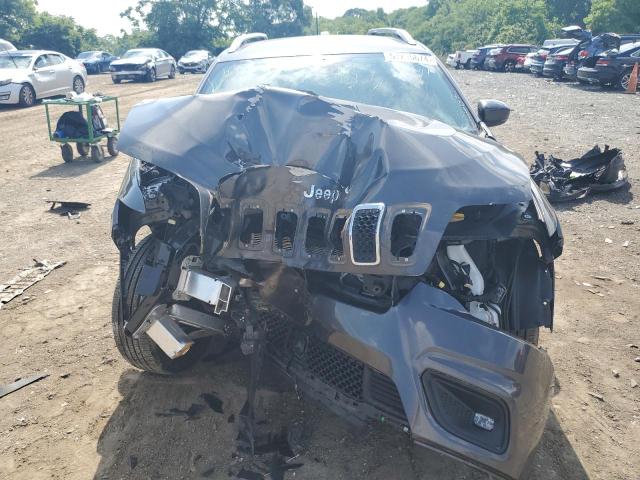 2021 Jeep Cherokee Latitude Plus VIN: 1C4PJLLB4MD134874 Lot: 57215674