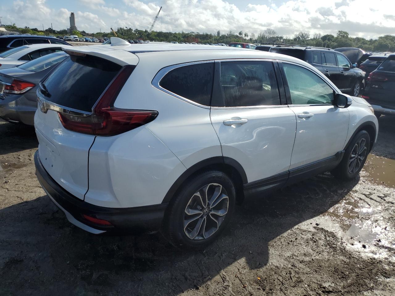 Lot #2981405615 2021 HONDA CR-V EXL