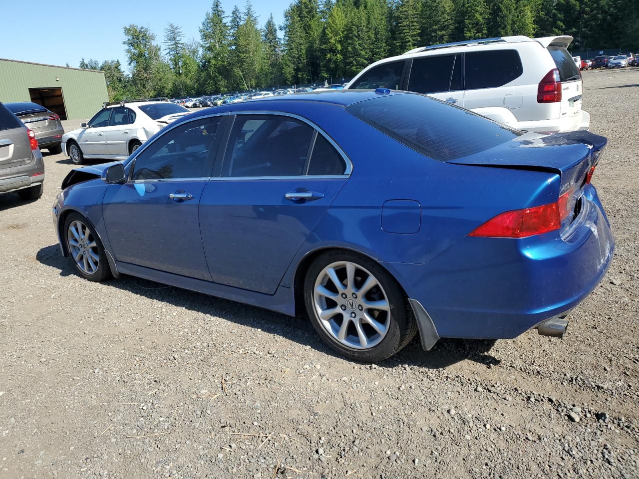 JH4CL96886C031136 2006 Acura Tsx