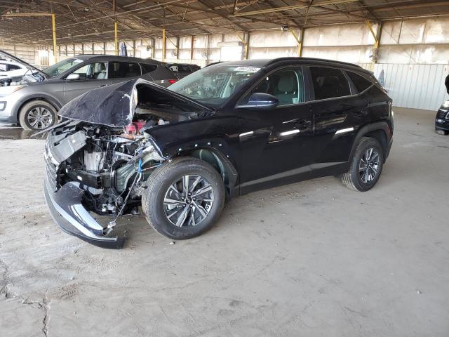 KM8JBCD10RU181606 2024 HYUNDAI TUCSON - Image 1