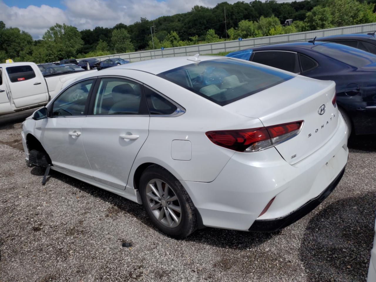 5NPE24AF5KH788239 2019 Hyundai Sonata Se