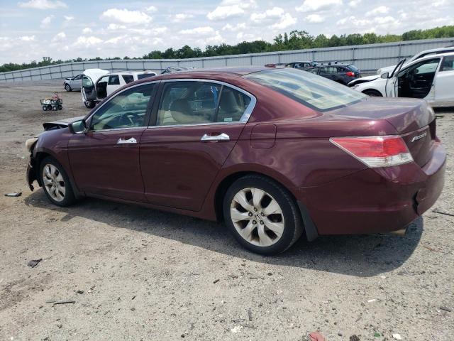 2009 Honda Accord Exl VIN: 1HGCP368X9A032342 Lot: 57668944