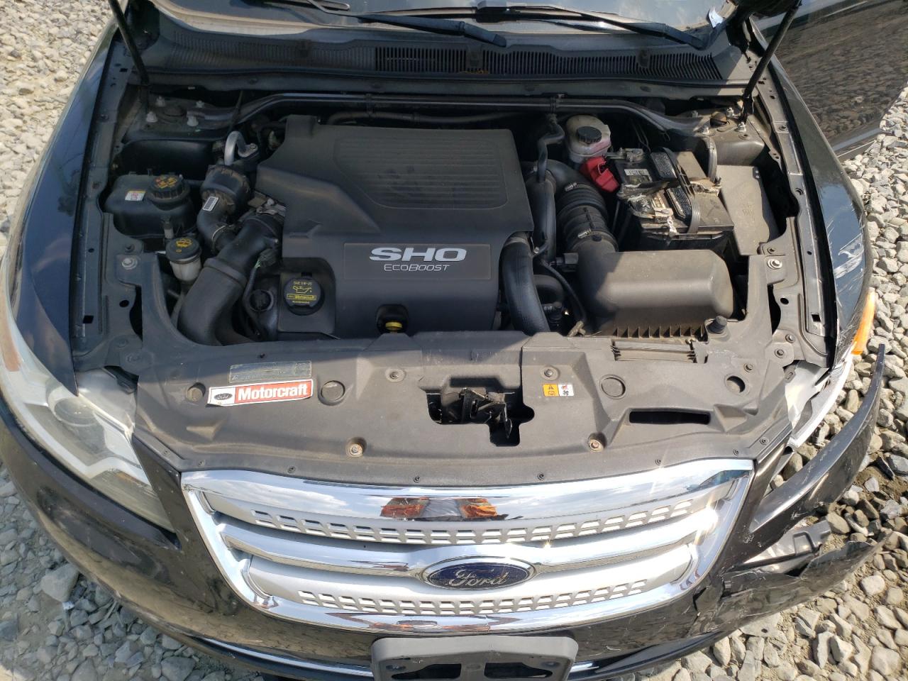 1FAHP2KT3AG117975 2010 Ford Taurus Sho