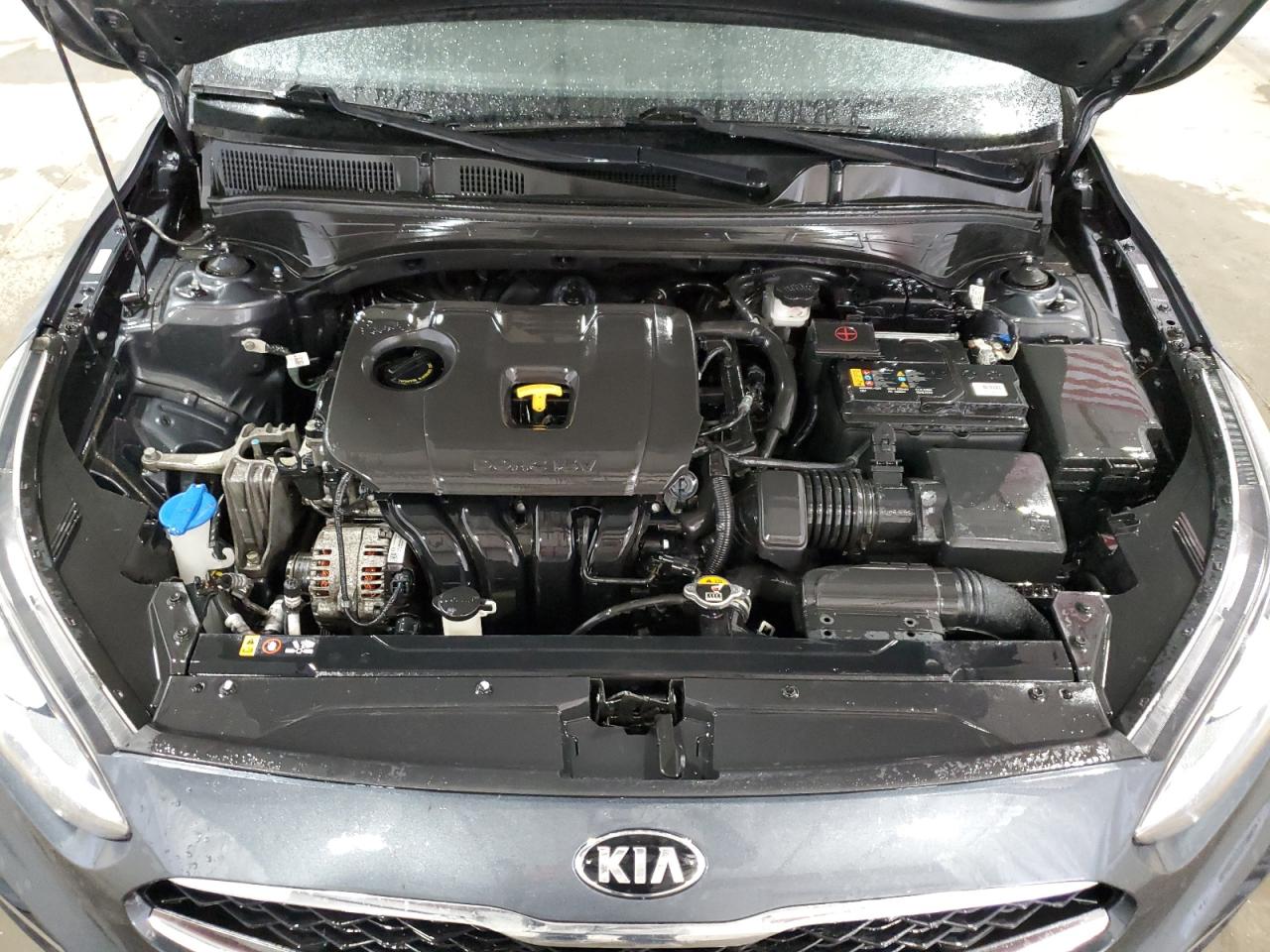 3KPF34AD8KE013342 2019 Kia Forte Gt Line