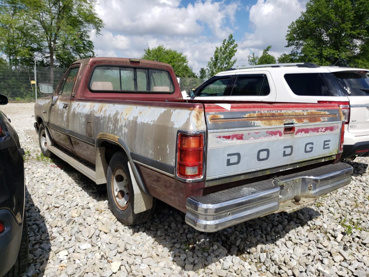 1B7HE16Y3PS114192 1993 Dodge D-Series D150