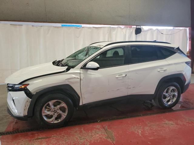 2024 Hyundai Tucson Sel VIN: 5NMJBCDEXRH296941 Lot: 57622164