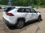 TOYOTA RAV4 XLE photo