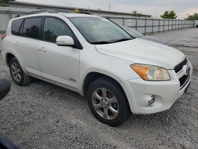 2009 Toyota Rav4 Limited VIN: JTMBF31V995009976 Lot: 59616644