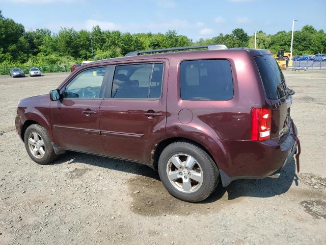 2011 Honda Pilot Exl VIN: 5FNYF4H67BB026794 Lot: 57739754