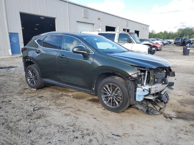 2T2ADCAZ2NC001361 Lexus NX 250  4