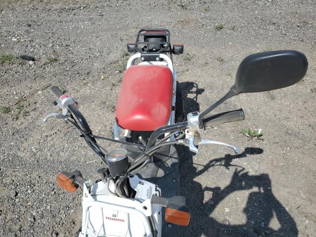 2019 HONDA NPS50 JH2AF5810KK703612