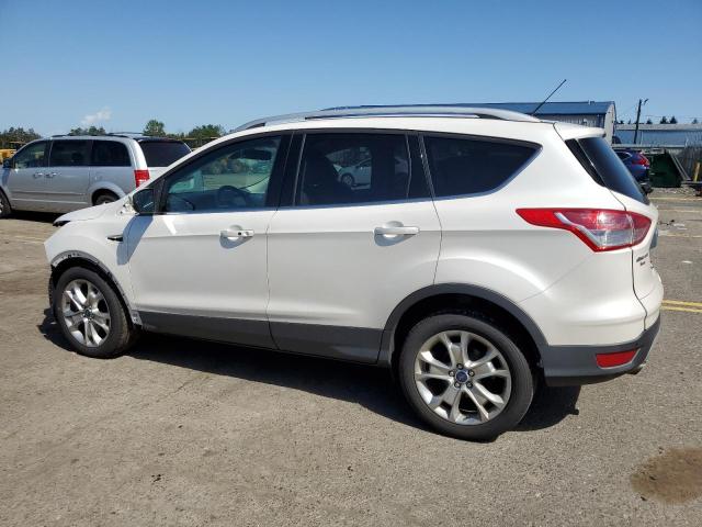 2014 Ford Escape Titanium VIN: 1FMCU0J91EUC97452 Lot: 57904484