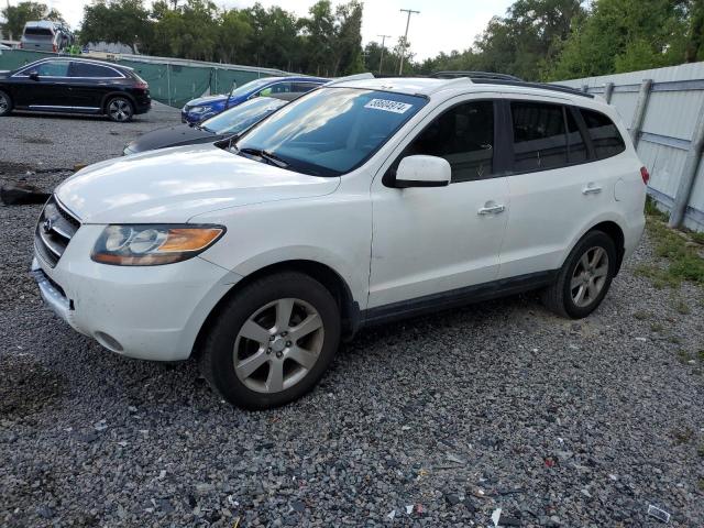 2007 Hyundai Santa Fe Se VIN: 5NMSH13E97H084828 Lot: 58604974