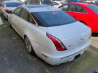 JAGUAR XJ photo