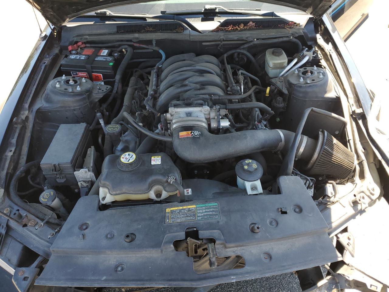 1ZVHT85H165250704 2006 Ford Mustang Gt