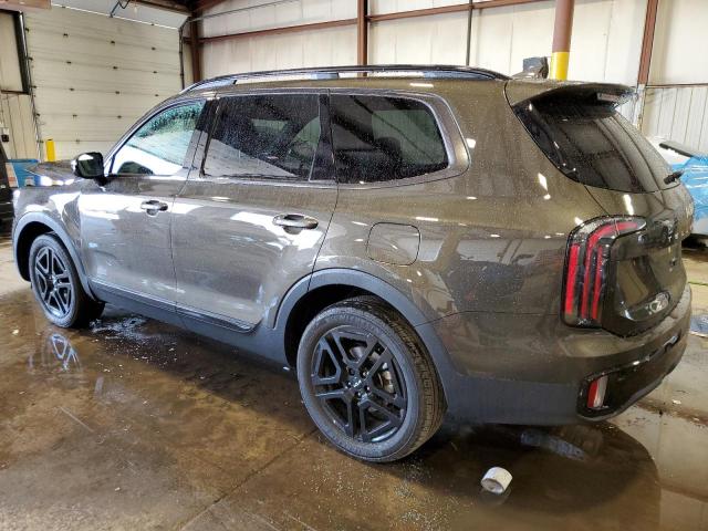 2024 Kia Telluride Sx VIN: 5XYP5DGC3RG513855 Lot: 61155304