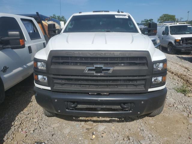 2019 Chevrolet Silverado Medium Duty VIN: 1HTKHPVK4KH600662 Lot: 60308264